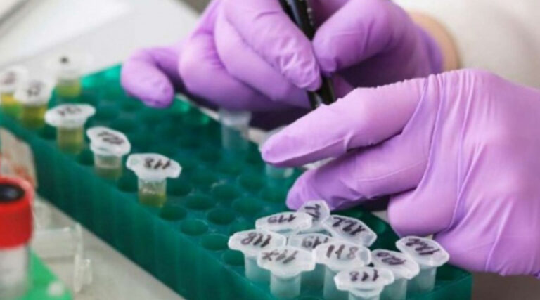 Confinamiento agudiza casos de hepatitis grave de origen desconocido