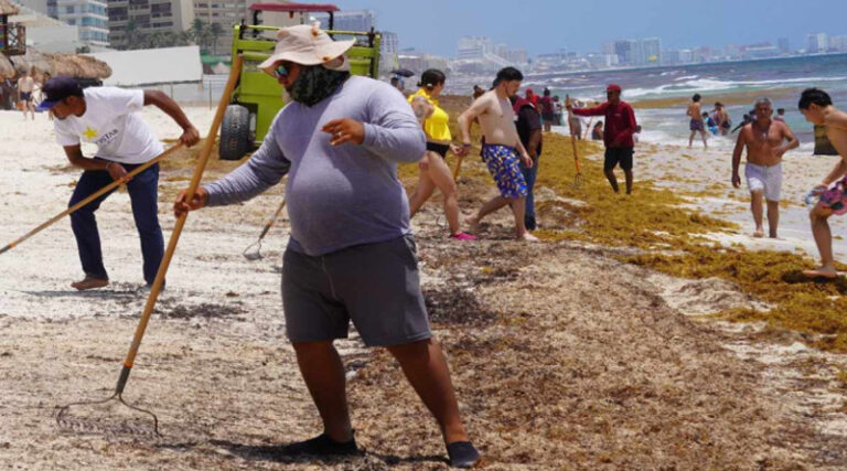Prevén menos sargazo en playas del Caribe mexicano este 2023
