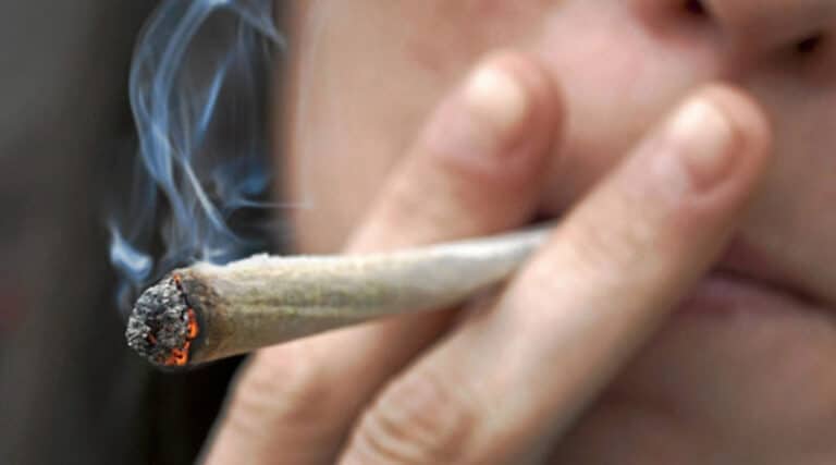 Presidenta del Senado busca cerrar el sexenio con legalización de la cannabis