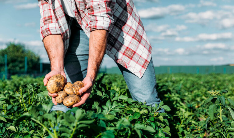 Aprieta 4T a la IP con plan agrícola