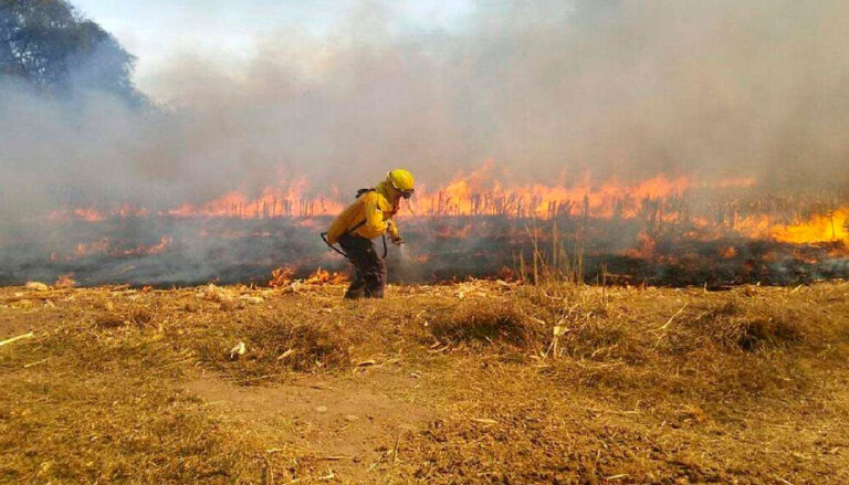 Muere brigadista por incendios forestales en Chihuahua