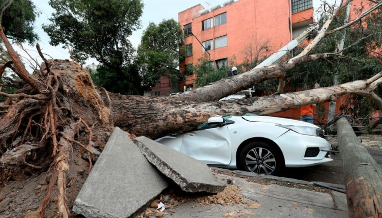 Fuertes rachas de viento tiran postes y cables